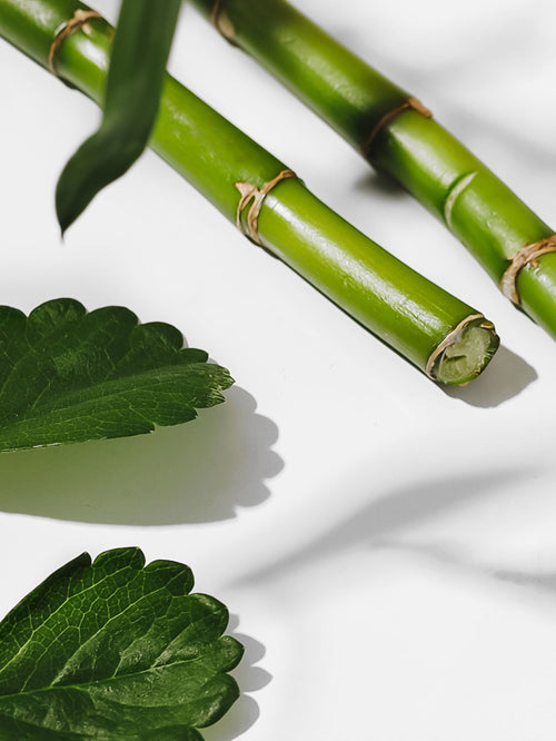 Bamboo & Green Tea - ingredients view