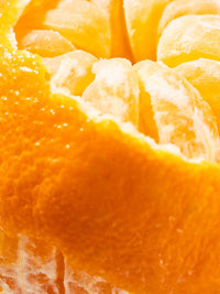 Orange Blossom, Lilac & Jasmine